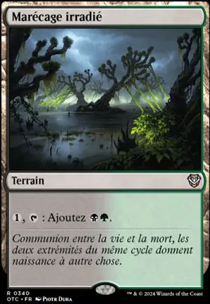 Marécage irradié