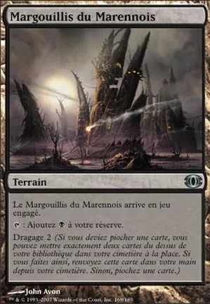 Margouillis du Marennois