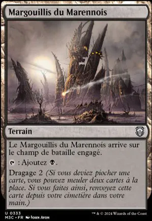 Margouillis du Marennois