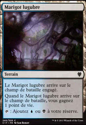 Marigot lugubre