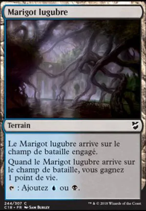 Marigot lugubre