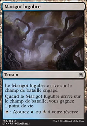 Marigot lugubre