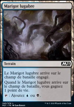 Marigot lugubre