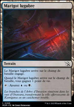 Marigot lugubre