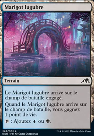 Marigot lugubre