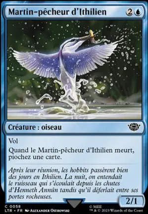 Martin-pêcheur d'Ithilien