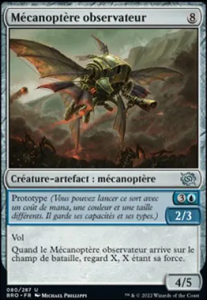 Mécanoptère observateur