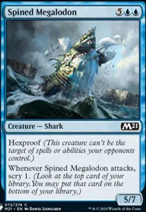 Mégalodon à piquants