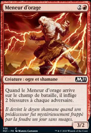 Meneur d'orage