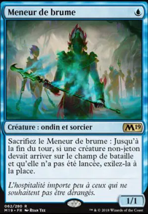 Meneur de brume