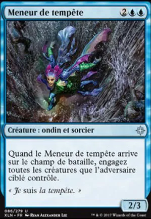 Meneur de tempête