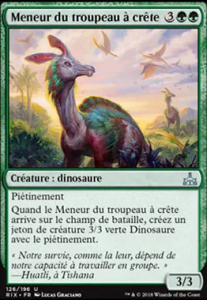 Meneur du troupeau à crête