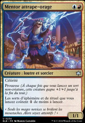 Mentor attrape-orage