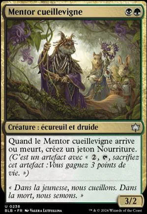 Mentor cueillevigne