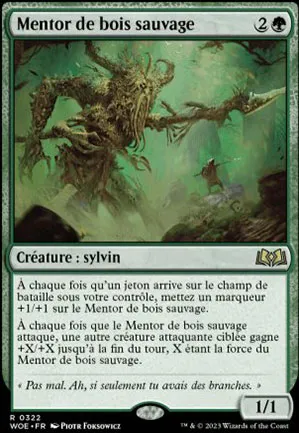 Mentor de bois sauvage
