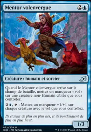 Mentor volenvergue