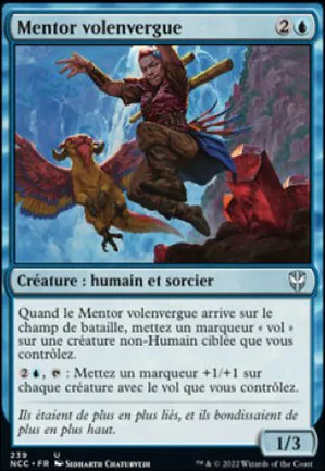 Mentor volenvergue