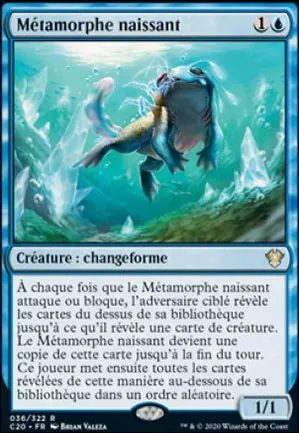 Métamorphe naissant