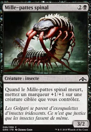 Mille-pattes spinal