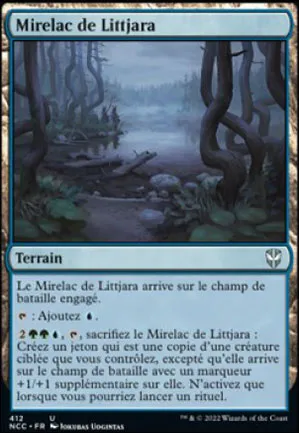 Mirelac de Littjara