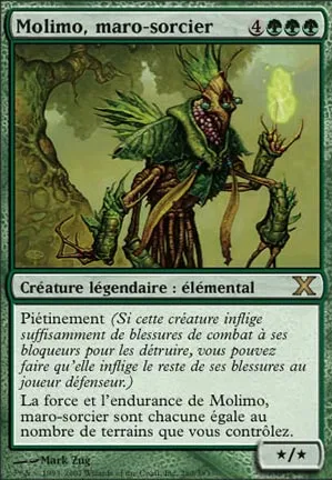 Molimo, maro-sorcier