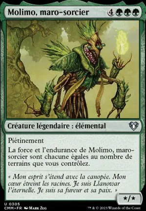 Molimo, maro-sorcier