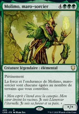Molimo, maro-sorcier