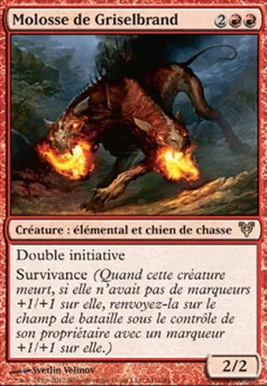Molosse de Griselbrand
