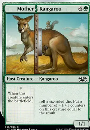 Mother Kangaroo