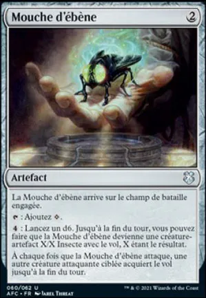 Mouche d'ébène