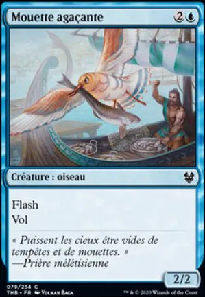 Mouette agaçante