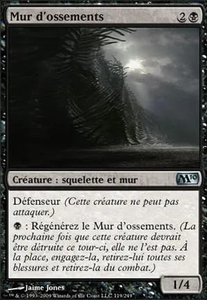 Mur d'ossements