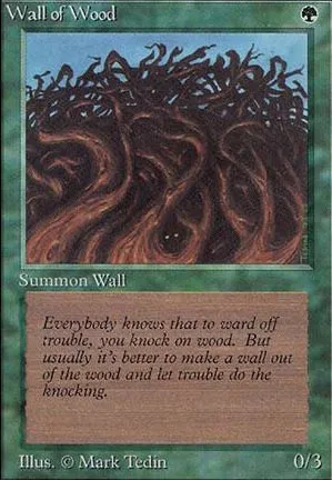 Mur de bois