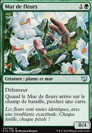 Mur de fleurs