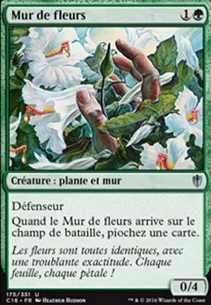 Mur de fleurs