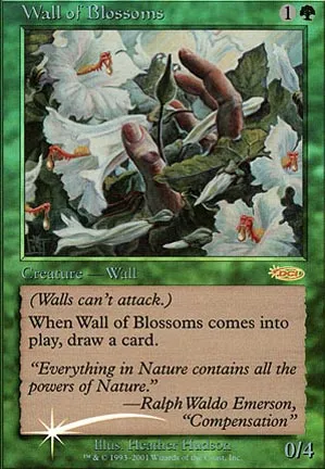 Mur de fleurs