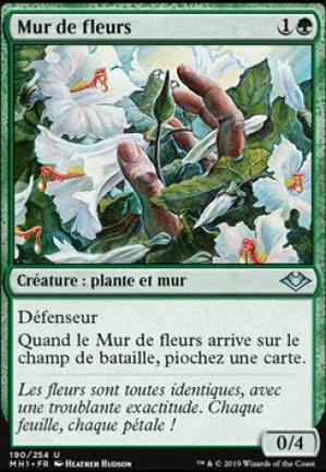 Mur de fleurs