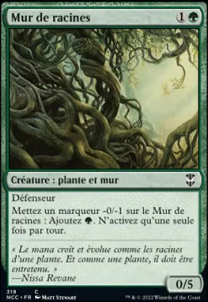 Mur de racines