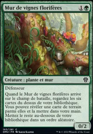 Mur de vignes florifères