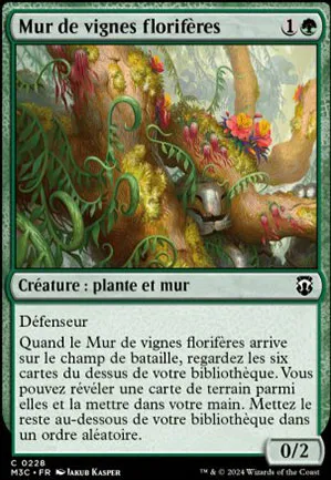 Mur de vignes florifères