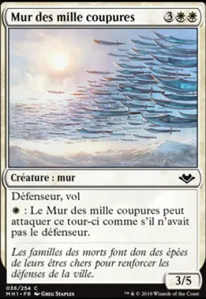 Mur des mille coupures