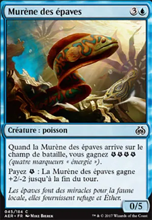 Murène des épaves