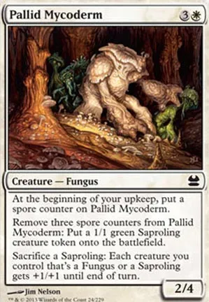 Mycoderme blême