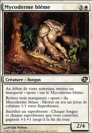 Mycoderme blême