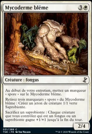 Mycoderme blême