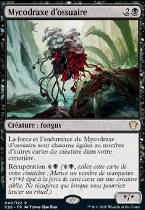 Mycodraxe d'ossuaire