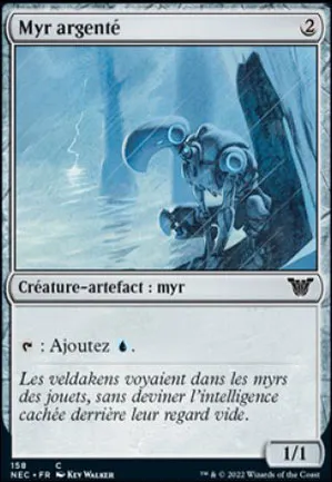 Myr argenté