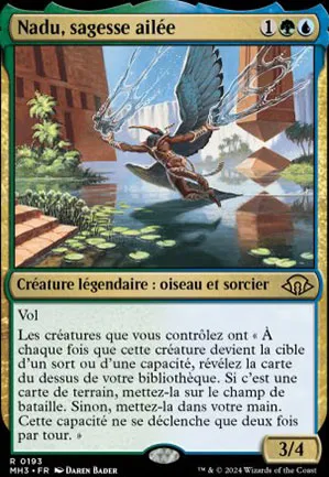 Nadu, sagesse ailée