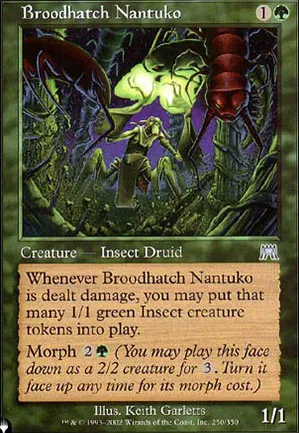 Nantuko de la couvée