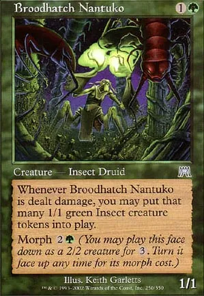 Nantuko de la couvée